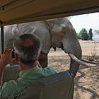 2022 SIMBABWE, Mana Pools NP