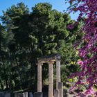 2022-Tempel im antiken Olympia