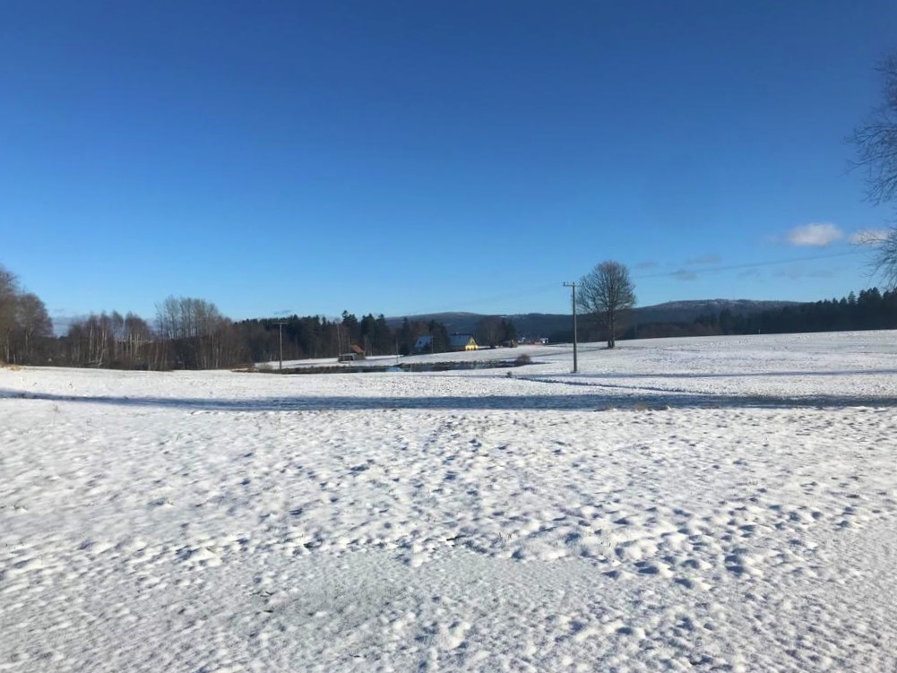 20220106  Maulwurfhaufen und Seerosenteich im Winterschlaf