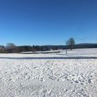 20220106  Maulwurfhaufen und Seerosenteich im Winterschlaf