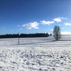 20220106 Wintereinzug mit den Heiligen Drei Königen