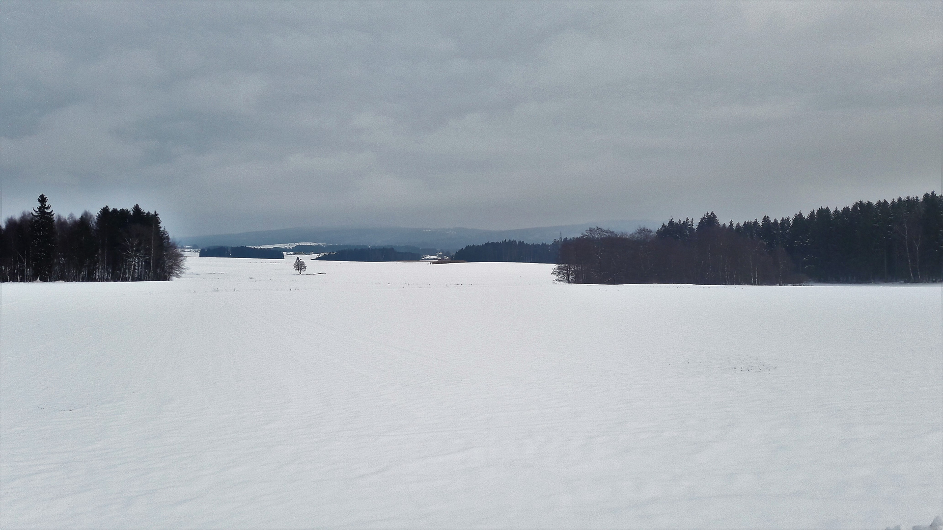 20220112  Schneeblick zum Fichtelgebirge/ Waldstein