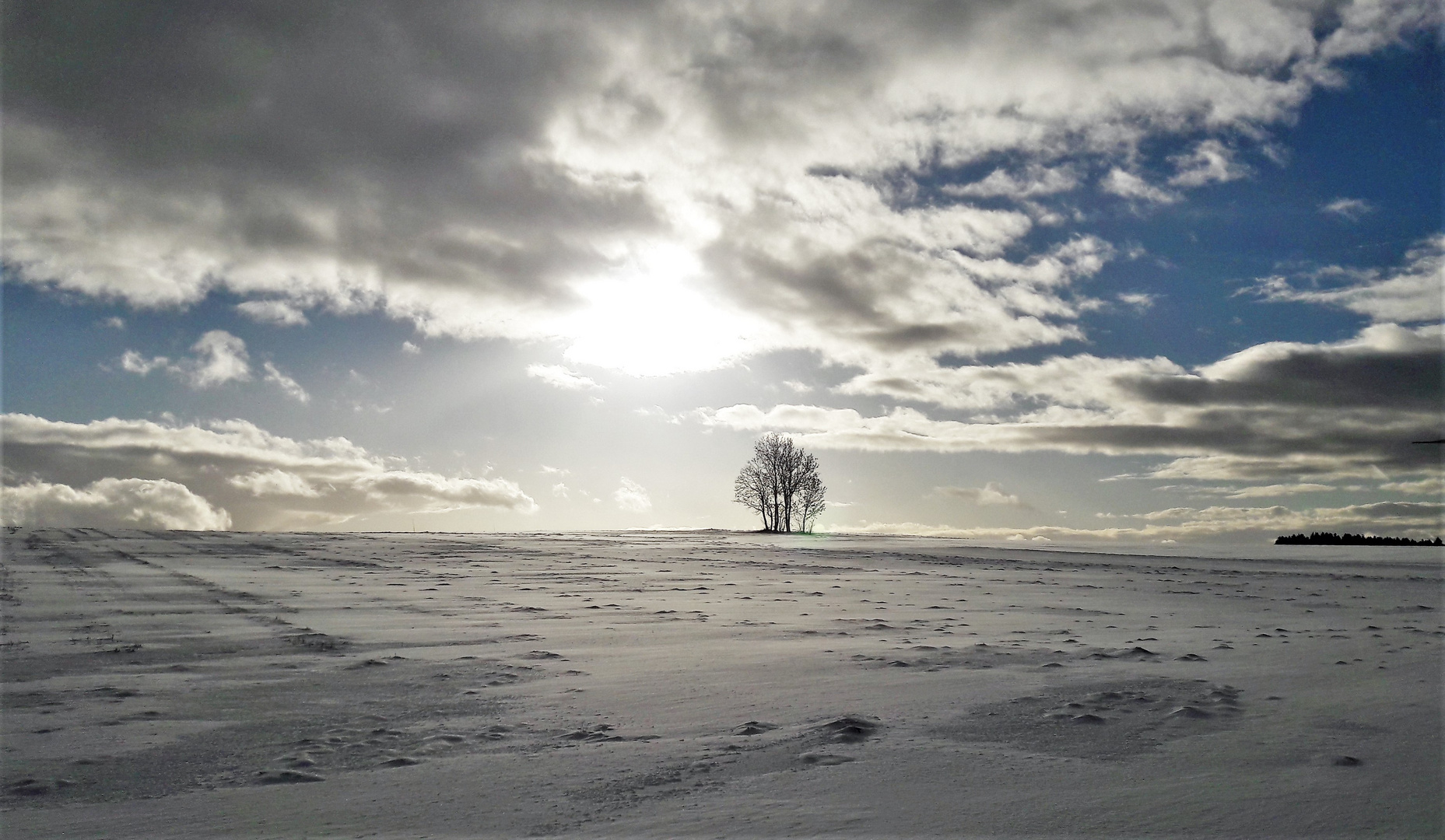 20220120 Weiß/blau  über der Schneelandschaft