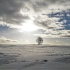 20220120 Weiß/blau  über der Schneelandschaft