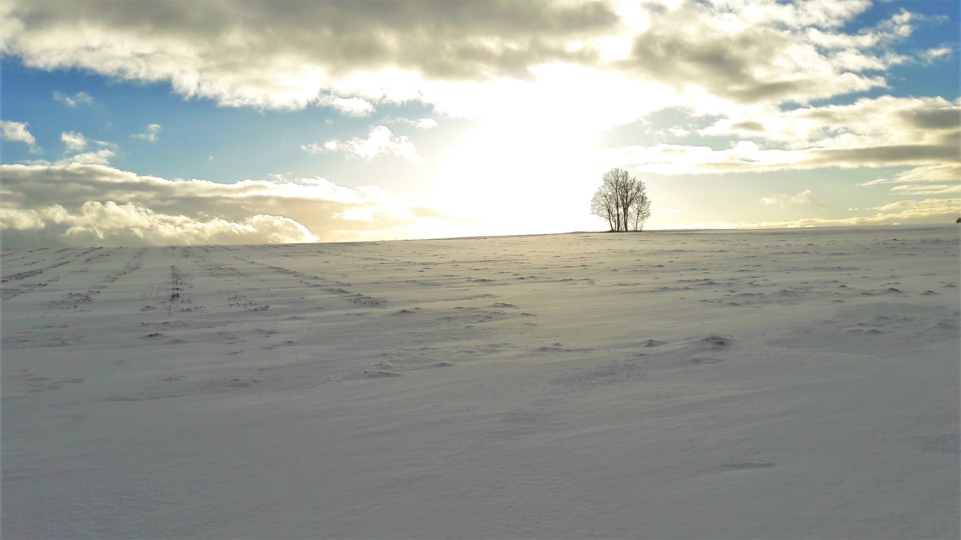 20220120 Winterlandschaft mit Licht am Horizont