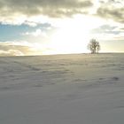 20220120 Winterlandschaft mit Licht am Horizont