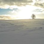 20220120 Winterlandschaft mit Licht am Horizont