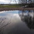 20220209 Erstes Himmelsblau am Nachmittag auf dem Lernschwimmteich gespiegelt