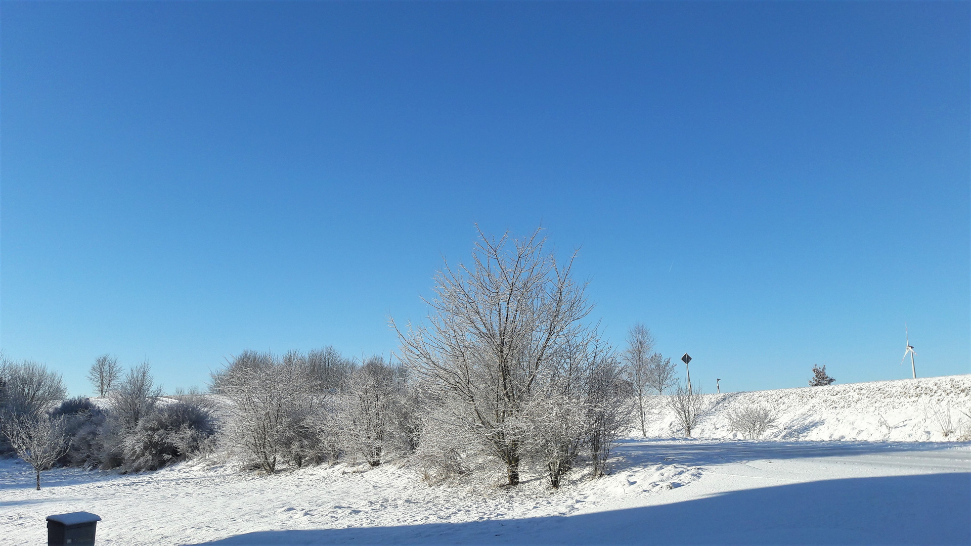 20220212 Montag -Blue Monday  ARCHIV :  Schnee und Raureif unter blauem Himmel