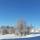 20220212 Montag -Blue Monday  ARCHIV :  Schnee und Raureif unter blauem Himmel