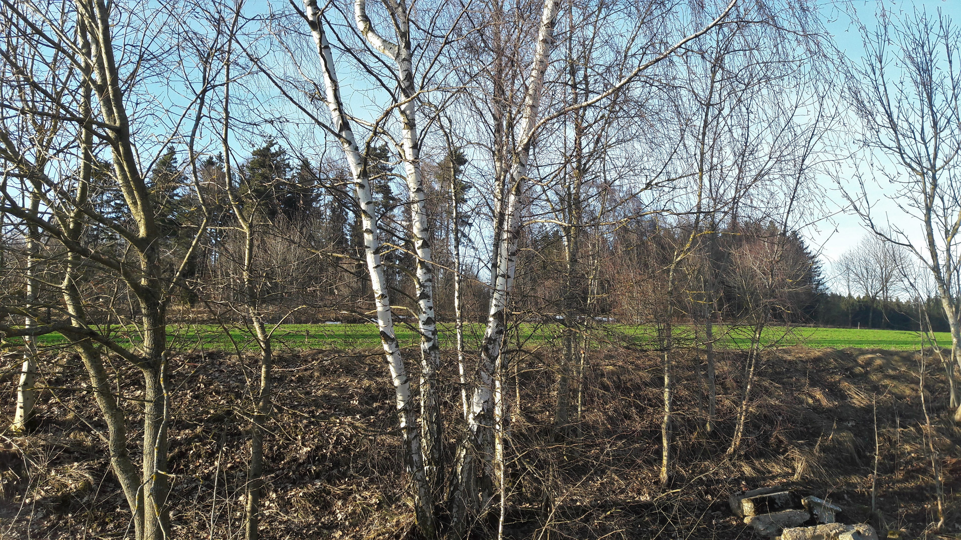 20220213 Gestern Winter, heute Frühling