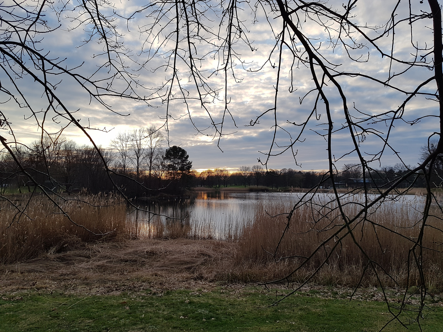 20220215_163502Stadtpark in Steglitz am Abend