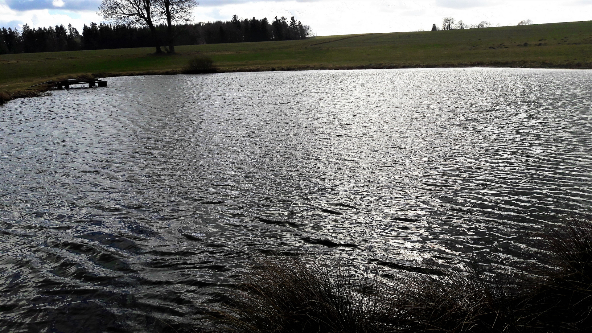 20220219 Sturm am Seerosenteich