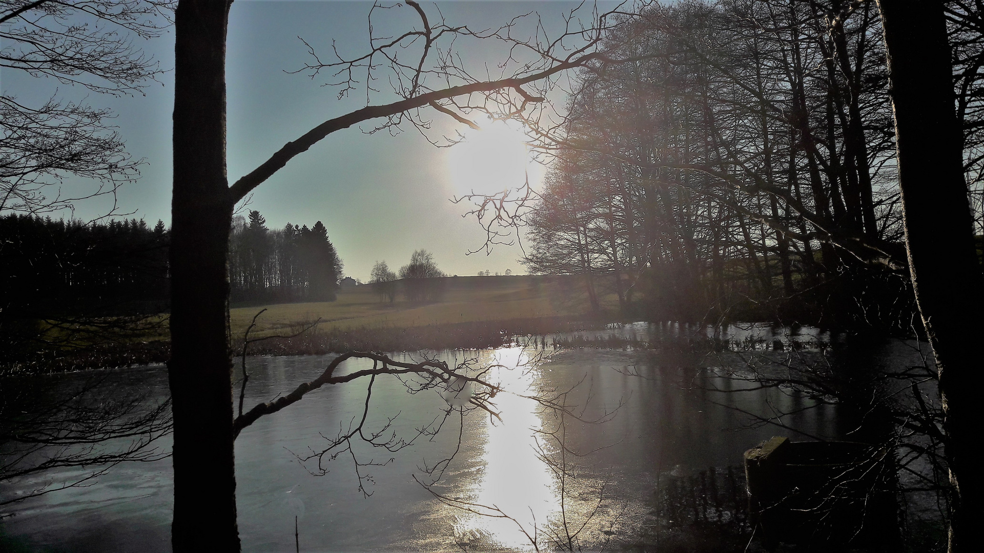 20220228 Lernschwimmteich : Sonnenspiegelung auf der Eishaut