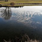 20220302  Spiegeltag : Wald, Wiesen und Wolken gespiegelt