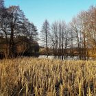 20220321 Durchblick am Lernschwimmteich