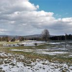 20220403 Spiegeltag : Seerosenteich mit Tannenspitzen