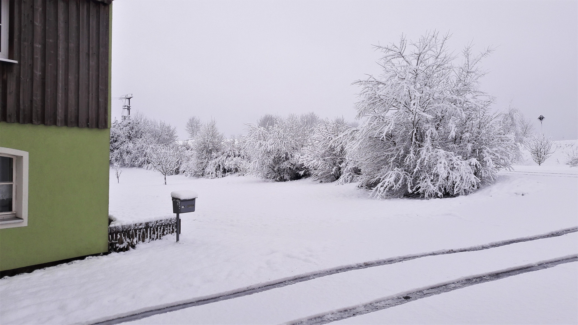 20220409  Wintereinbruch :Schwer mit nassem Schnee behangen