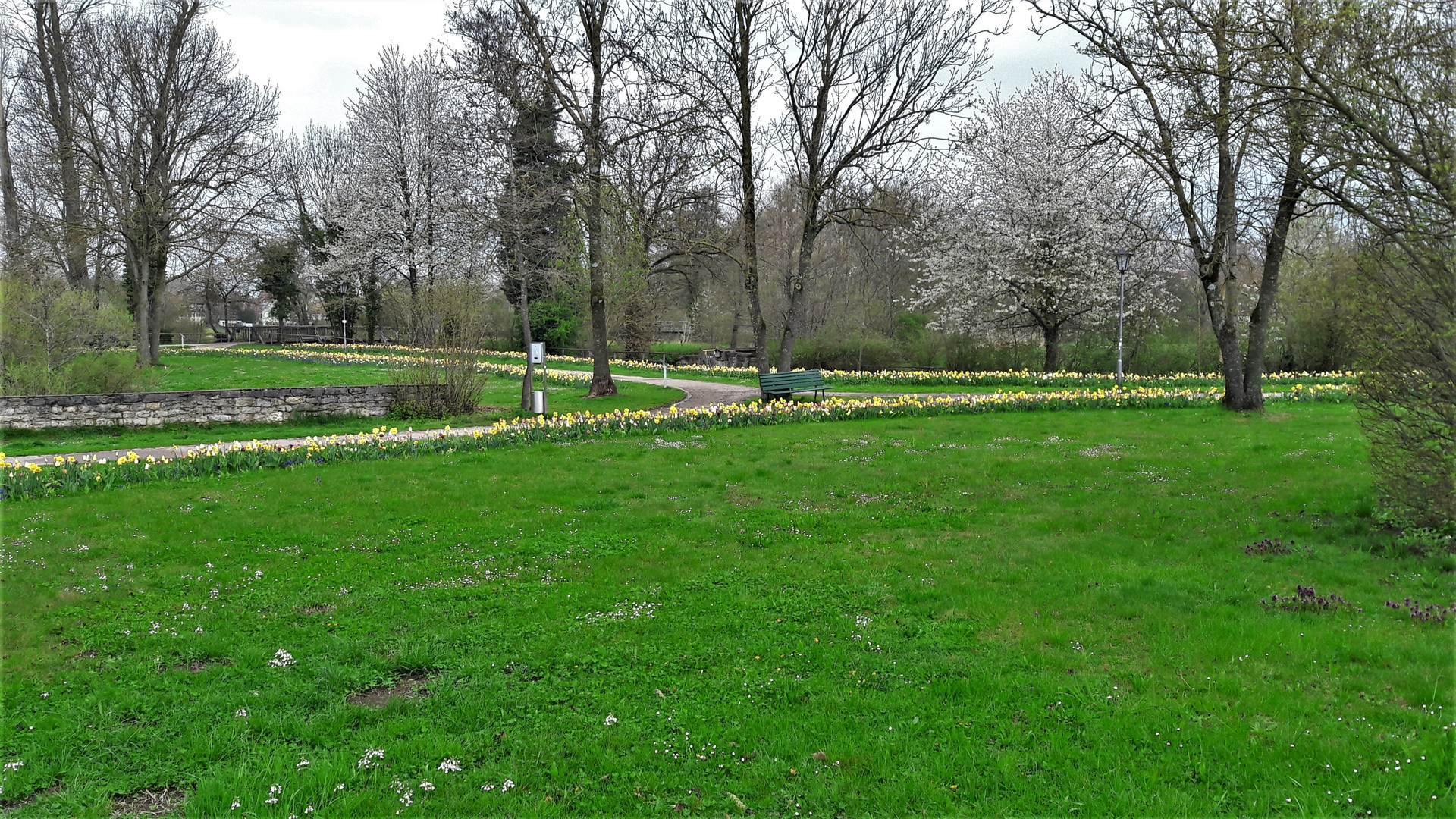 20220425 Dinkelsbühl Blumen-und Baumblüte im Park