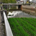 20220425 Spiegeltag : Bayreuth Spiegelungen auf dem Roten Main