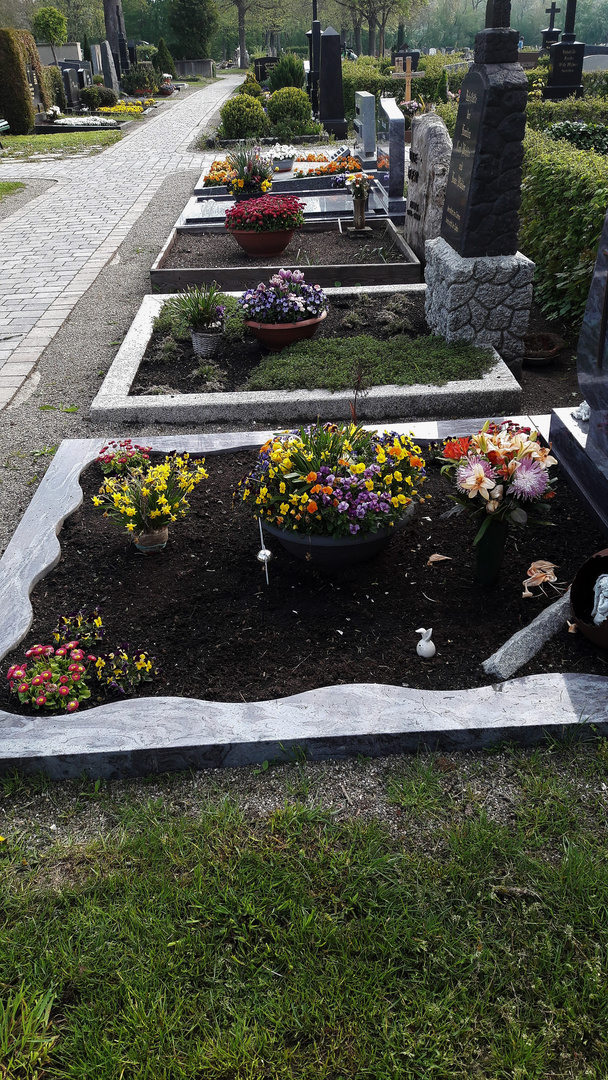 20220504 Donnerstag mit Durchblick : Dinkelsbühl Friedhof Mönchsroder  Str.