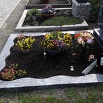 20220504 Donnerstag mit Durchblick : Dinkelsbühl Friedhof Mönchsroder  Str.