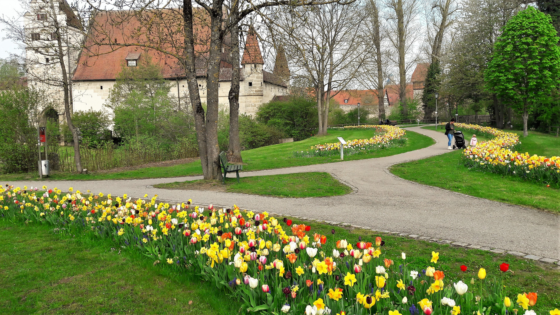 20220504 Mittwochsblümchen in Dinkelsbühl