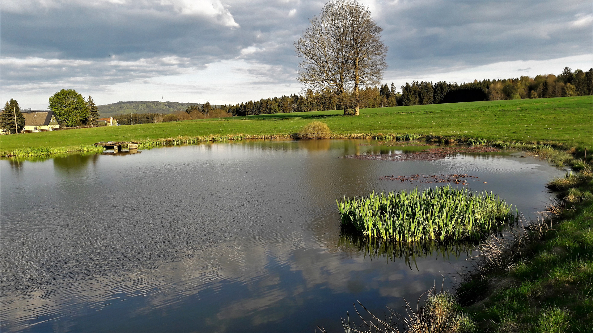 20220507 Abends am Seerosenteich