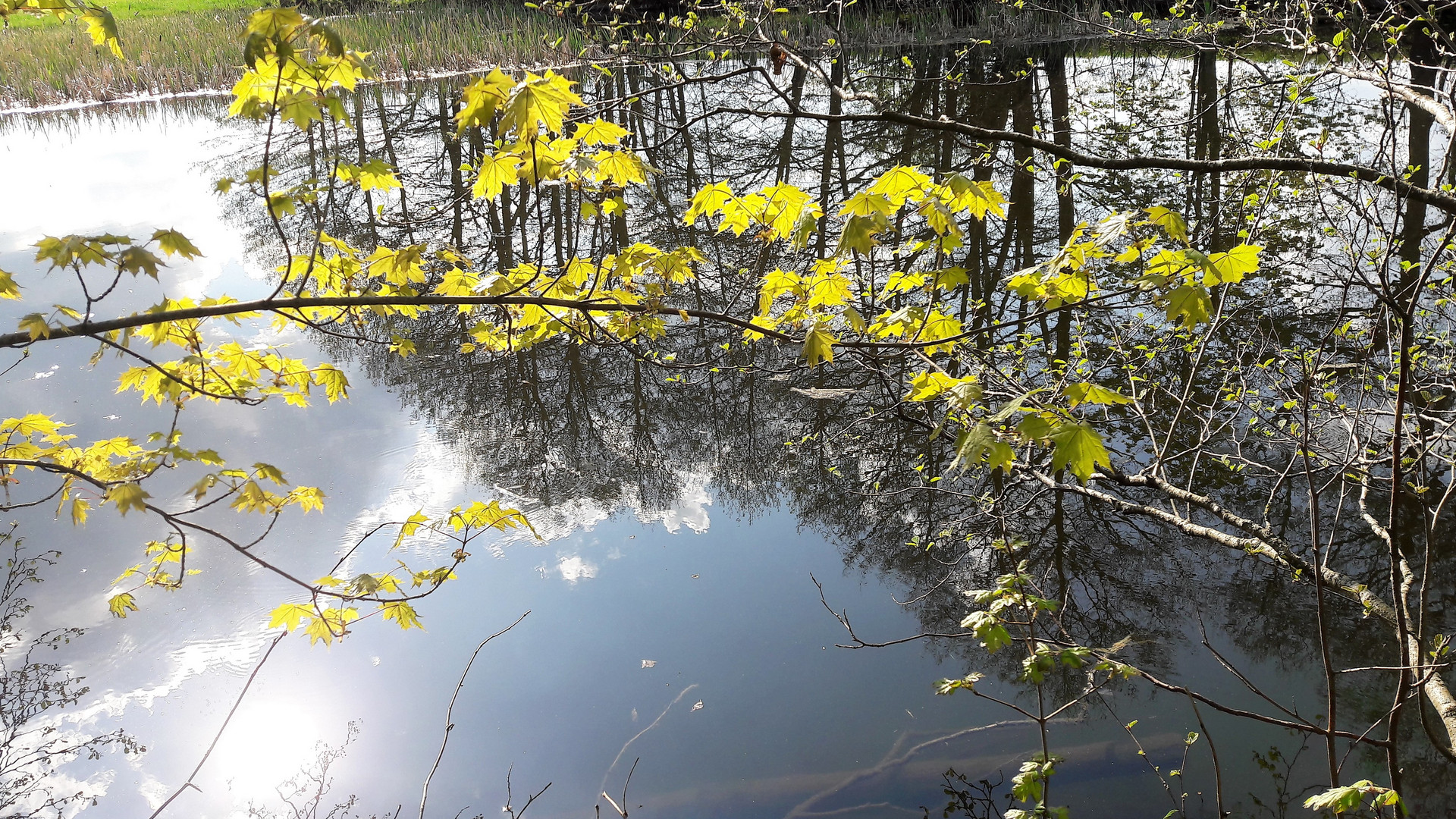 20220509  Spiegeltag am Lernschwimmteich