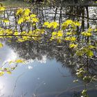 20220509  Spiegeltag am Lernschwimmteich