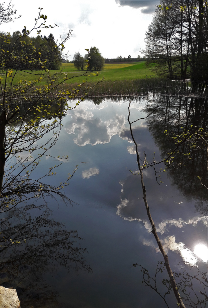 20220509 Spiegeltag : Spiegelungen am Lernschwimmteich