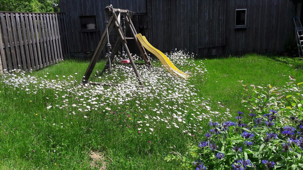 20220531 Mittwochsblümchen an unserem  Spielplatz