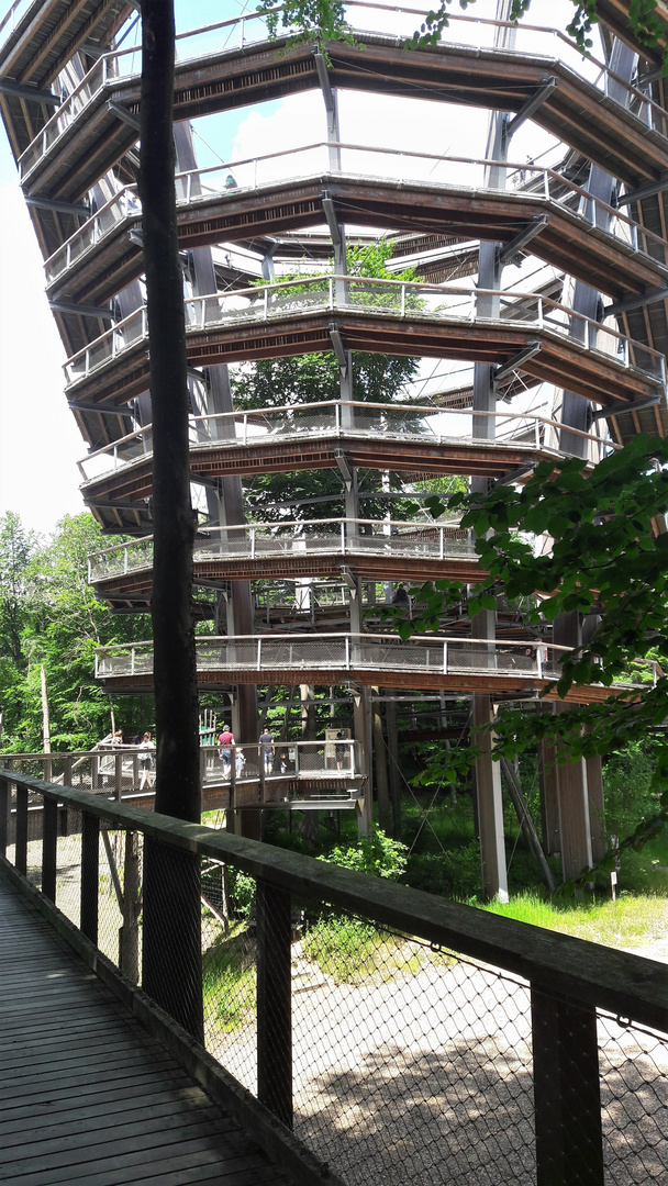 20220612  Ebrach Baumwipfelpfad im Steigerwald