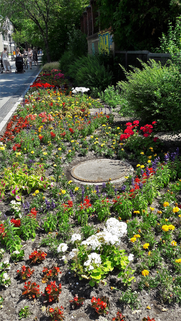 20220618 Mittwochsblümchen Kurpark Tegeler See