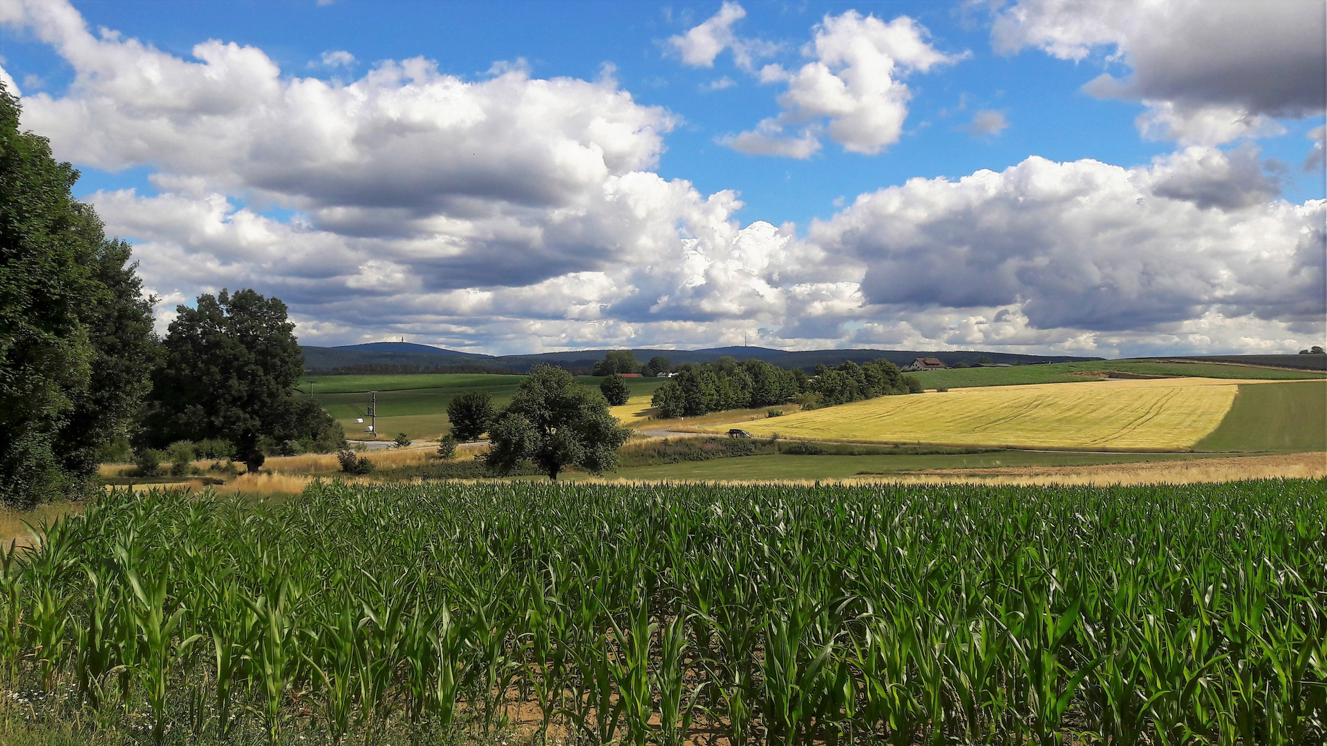 20220711 Blick ins Fichtelgebirge