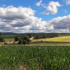 20220711 Blick ins Fichtelgebirge