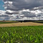 20220711 Durchblick auf den Energiepark  : Windräder und Photovoltaik