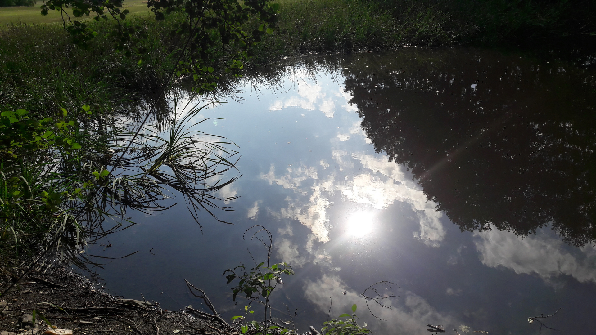 20220727  ARCHIV Spiegeltag am Lernschwimmteich