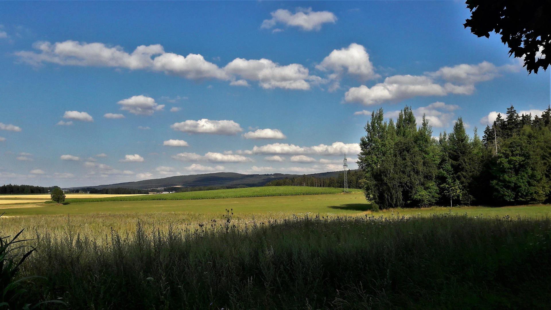 20220727 Wolkenschatten auf dem Fichtelgebirge