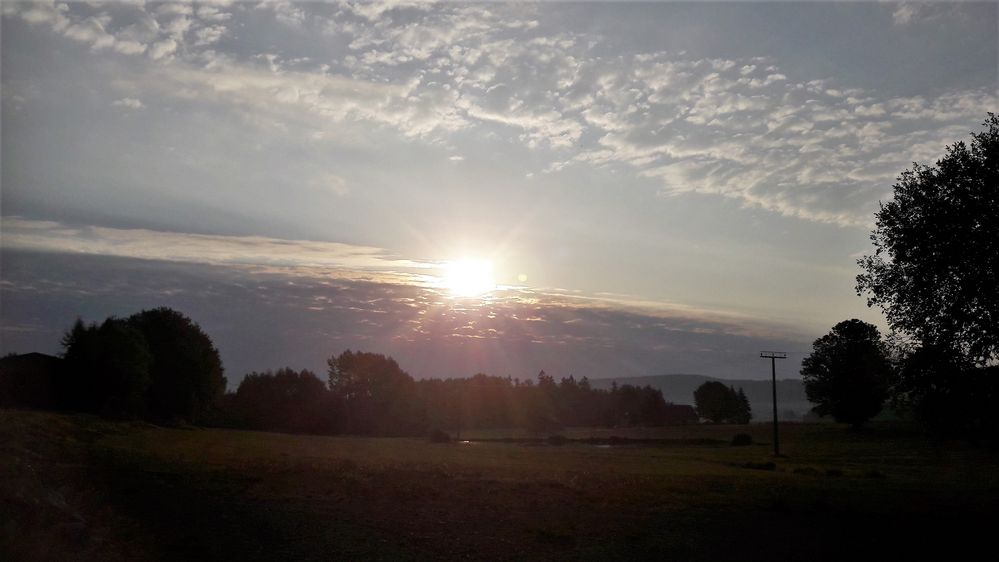 20220815 Endlich wieder Wolken  beim Sonnenaufgang und Bodennebel vor dem Wald