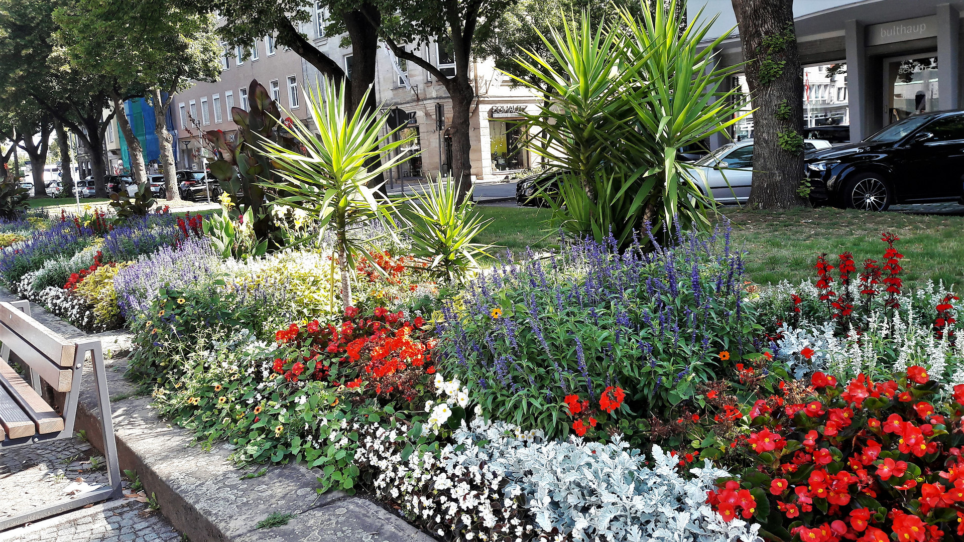 20220826 Bayreuth Festspielzeit : Blumen unter Bäumen