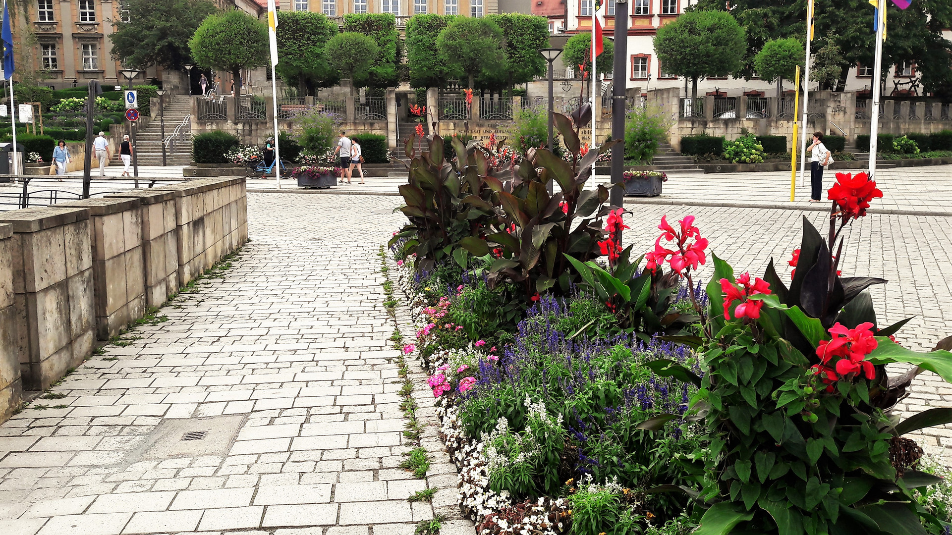 20220826 Bayreuth zur Festspielzeit : Blumen am Wegesrand und  Bäume auf den Terrassen