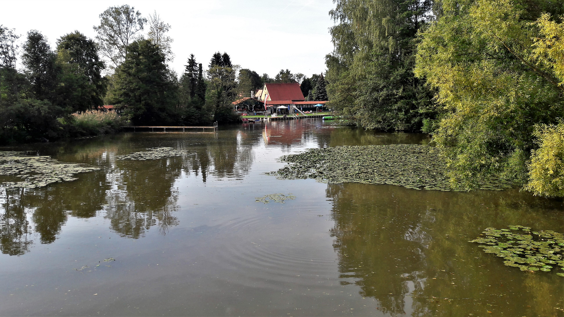 20220830 Dinkelsbühl Blick zum Freibad Flussbad in der Wörnitz Foto