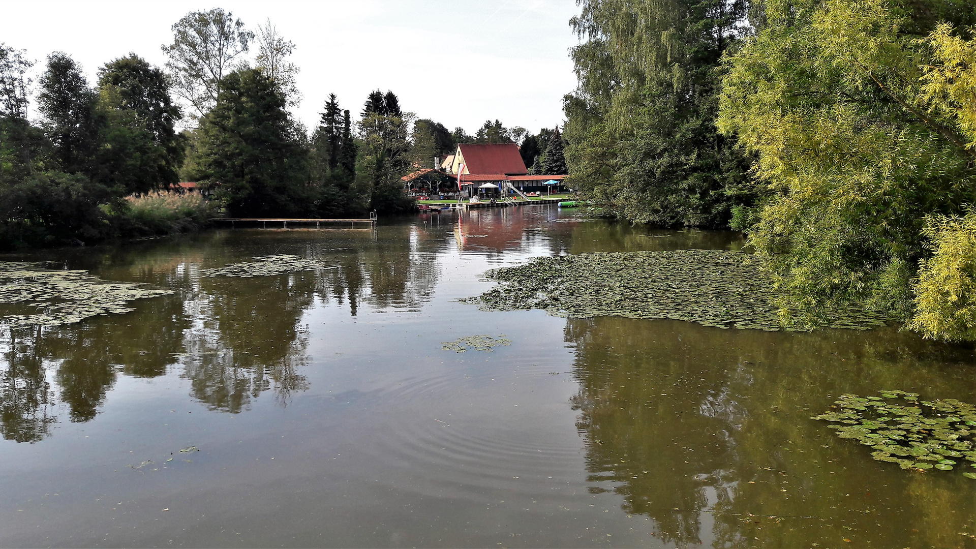 20220830 Dinkelsbühl Blick zum  Freibad Flussbad in der Wörnitz