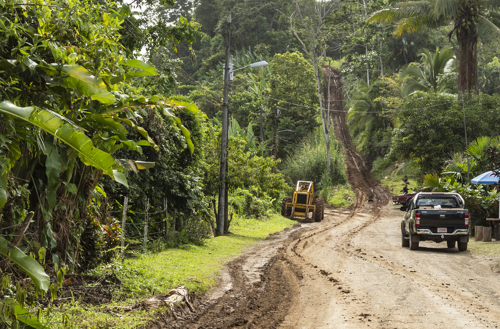 2022_08_Costa_Rica_2081_Ausschnitt