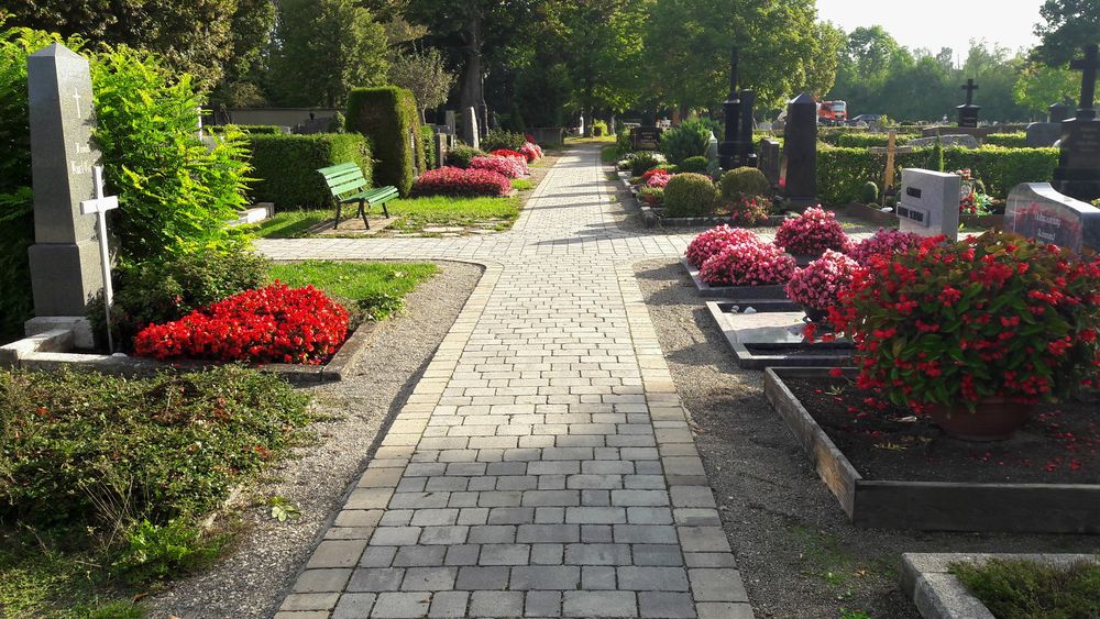 20220905 Mittwochsblümchen : Dinkelsbühl Friedhof Mönchsrother Strasse