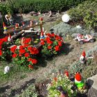 20220907 Mittwochsblümchen im Reich der Gartenzwerge und deren Tiere