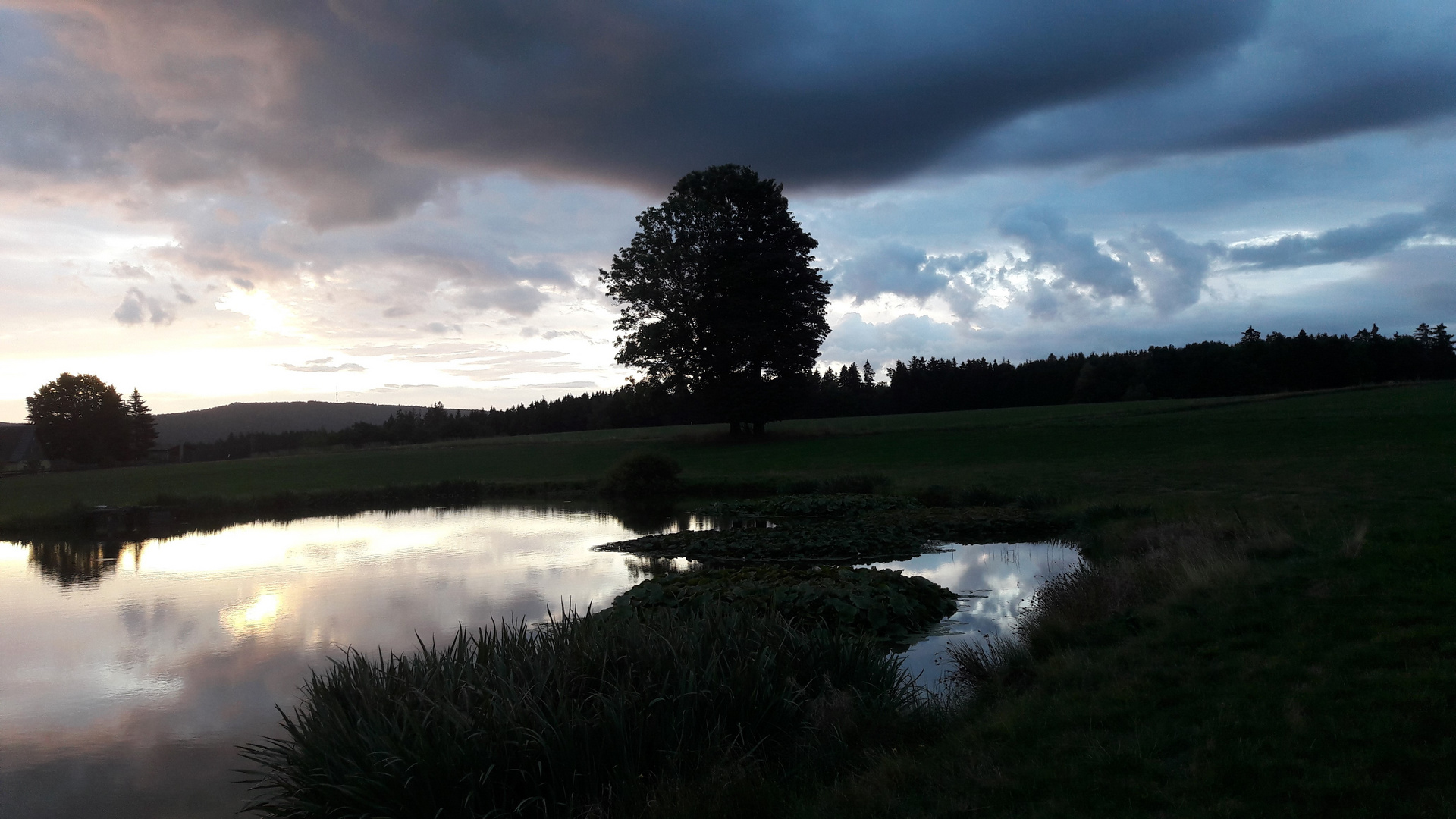 20220909 Blaue Stunde am Seerosenteich