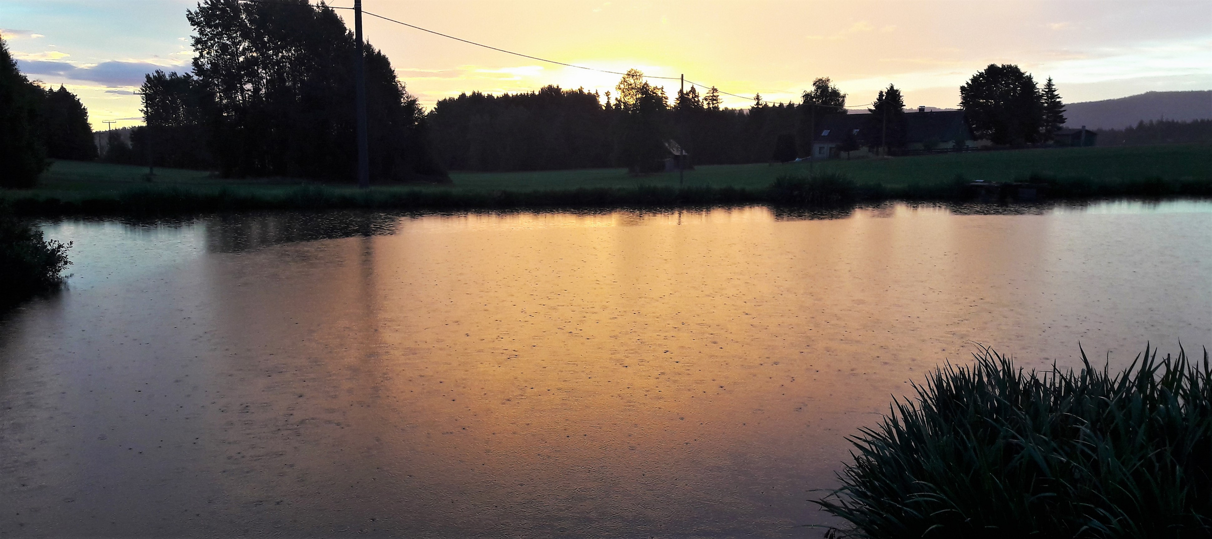 20220909   Regentropfen  am frühen Morgen auf den Seerosenteich