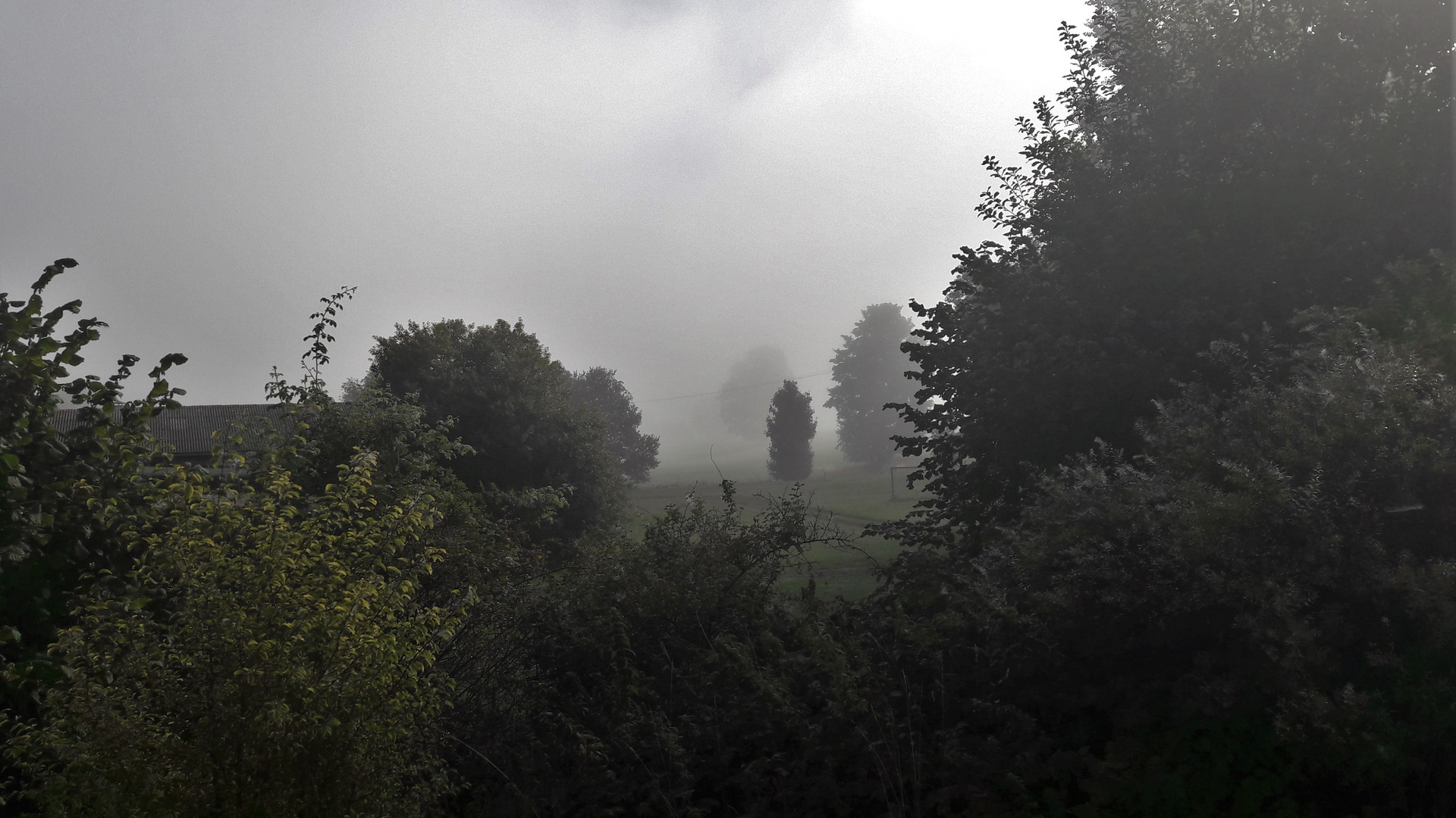 20220912 Durchblick zu den Feldern und Bäumen in den Nebel hinein